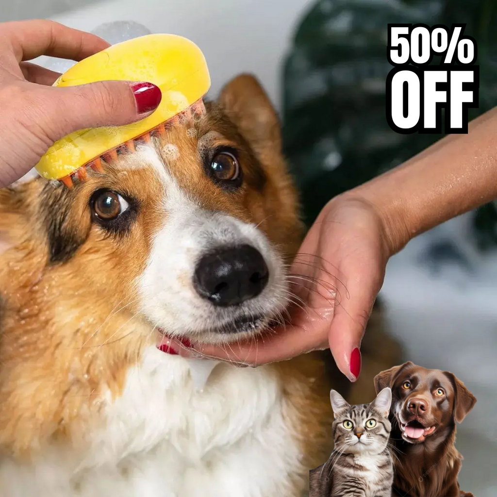 Cepillo Vaporizador 3 en 1 – Cuidado inteligente para tu peludo